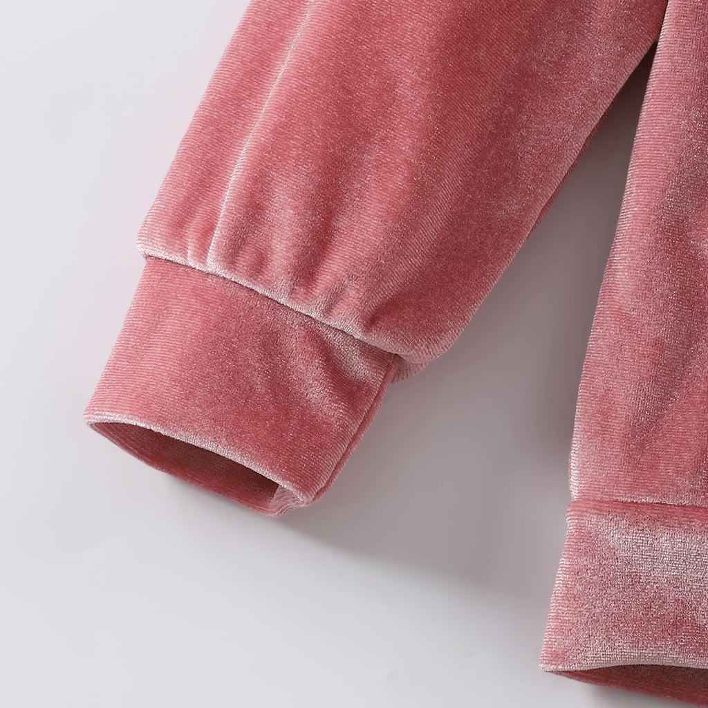 Toddler Girls Velour Hoodie Zipper Sweatsuit Velvet Tracksuit Outfits