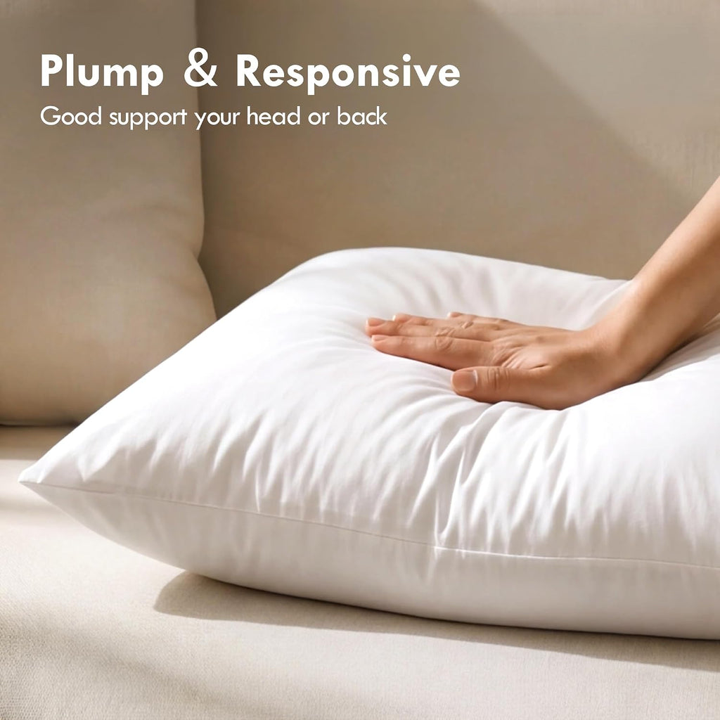 20 x 20 Throw Pillow Inserts for Couch & Sofa - Set of 4