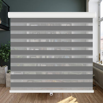 Cordless Zebra Blinds Roller Shades for Window-Dual Layer Sheer Blinds Light Control with Valance Day Night Privacy