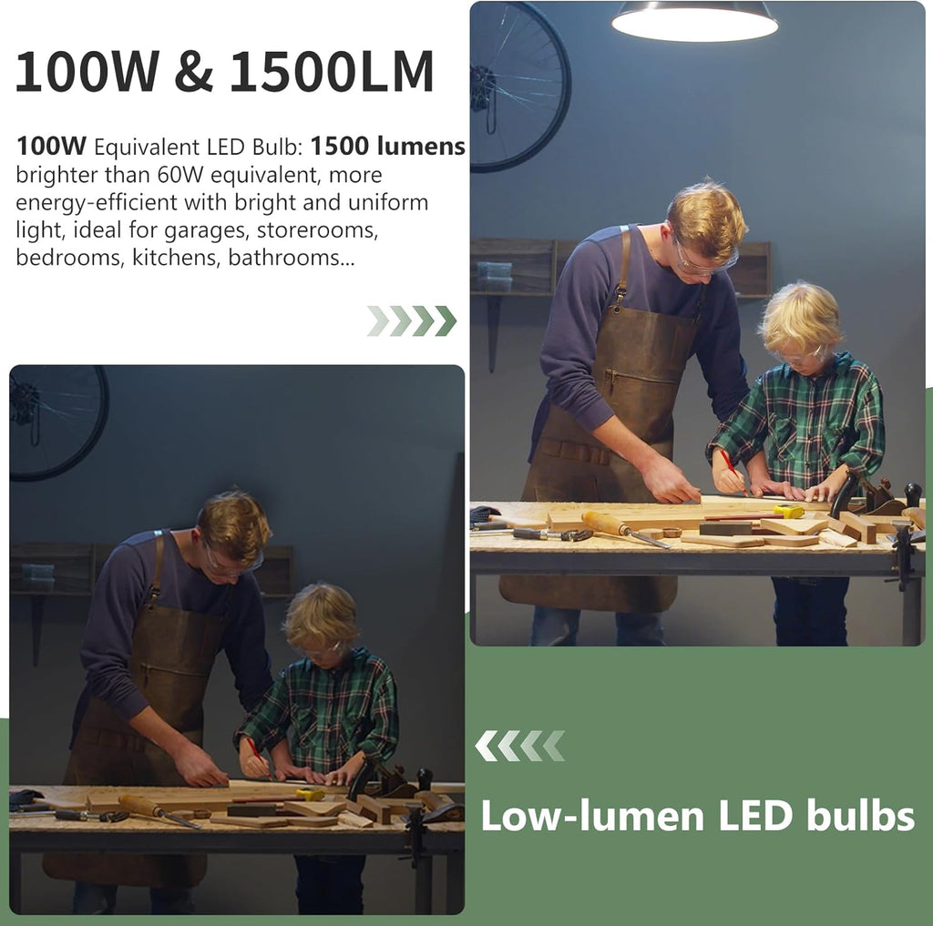 24-Packs A19 LED Light Bulbs,100 Watt Equivalent Daylight 5000K Bright Bulbs Efficient 13W,1500 Lumens E26 Base, Non