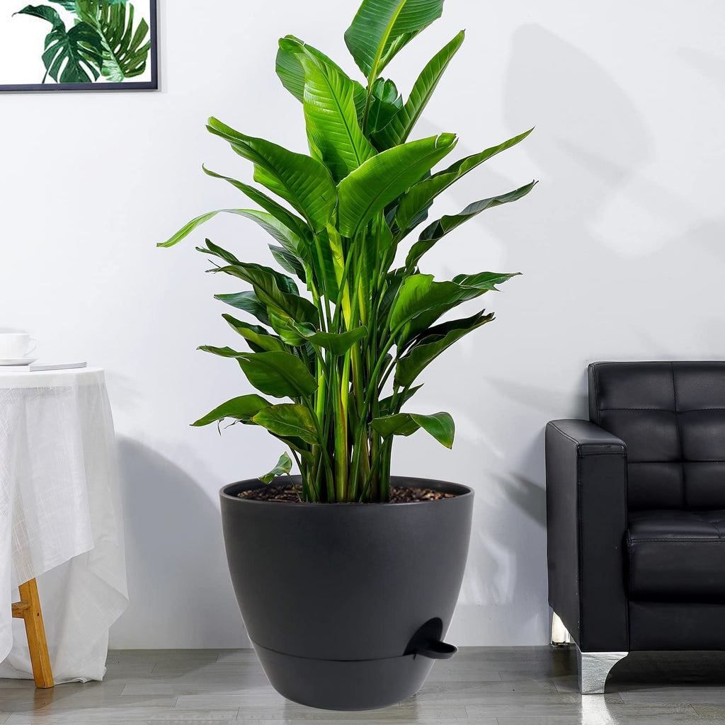 12 inch Large Self Watering Pots, Plastic Planters with 60oZ Removable Deep Reservoir and Multi Mesh Drainage Holes