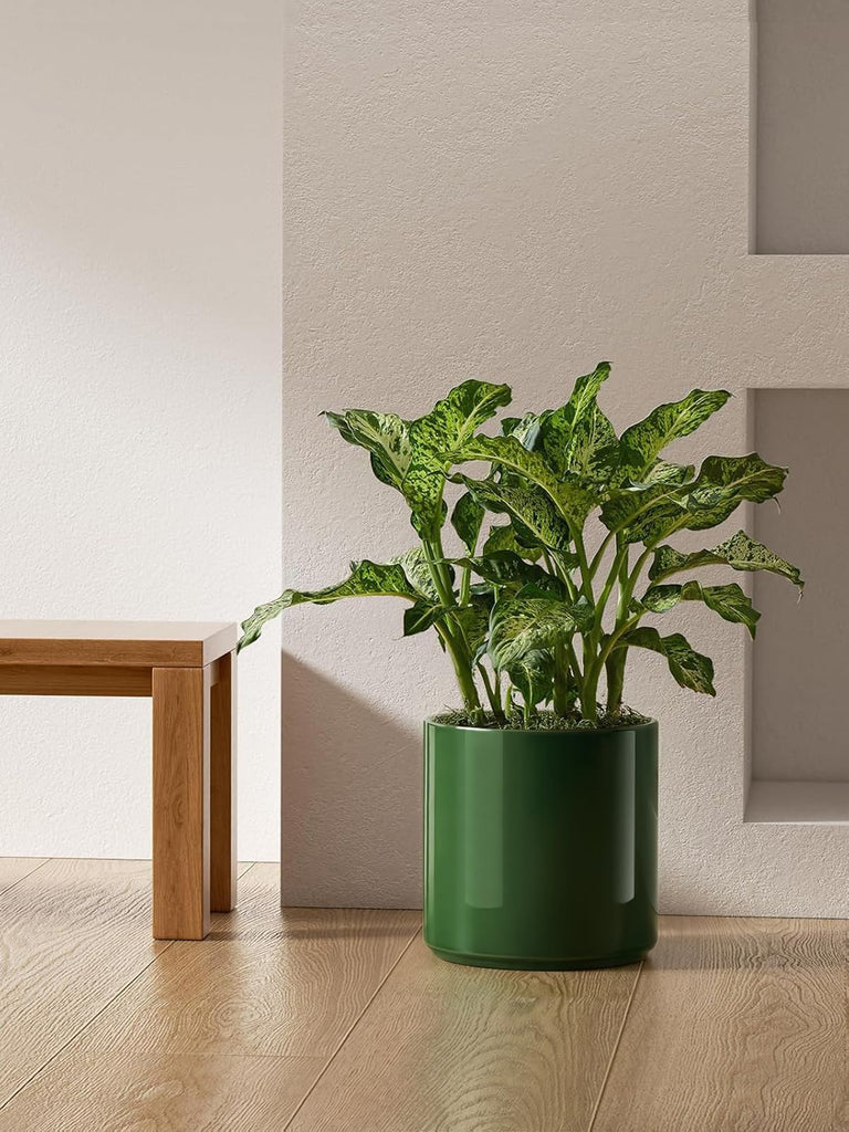 12 Inch Pot for Plants, Ceramic Indoor Planter, Bamboo Green