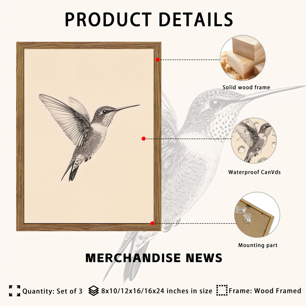 Vintage Framed Wall Art, Birds Canvas Prints, Hummingbird Sketch Painting Picture, Neutral Farmhouse Artwork Wall