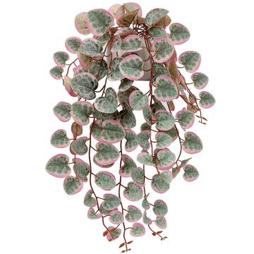 Pink Fake Variegated String of Hearts Plant in White Ceramic Pot