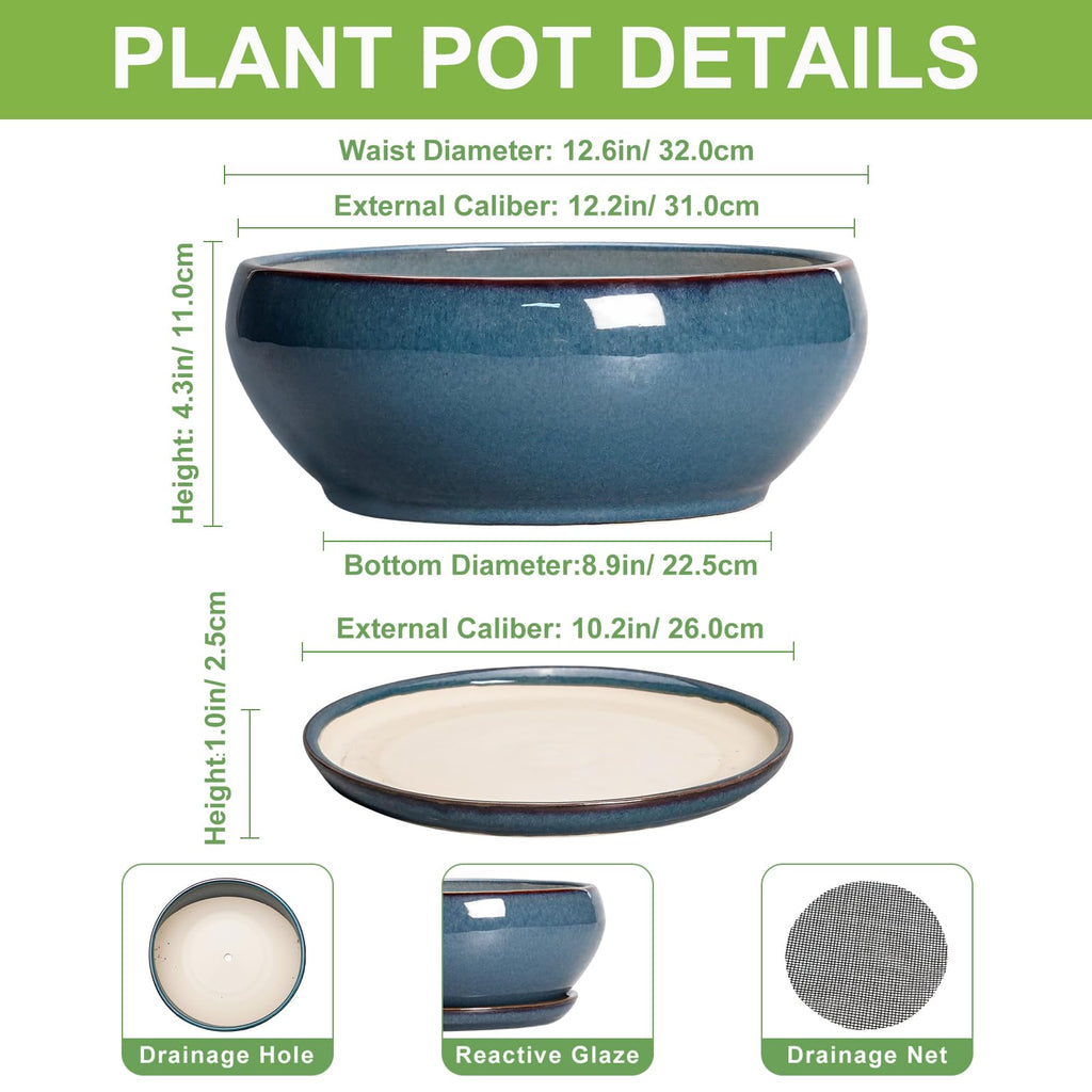 Bonsai Tree Pots - 12 Inch Ceramic Succulent Pots, Large Shallow Planter with Drainage Hole and Saucer, Bowl Round
