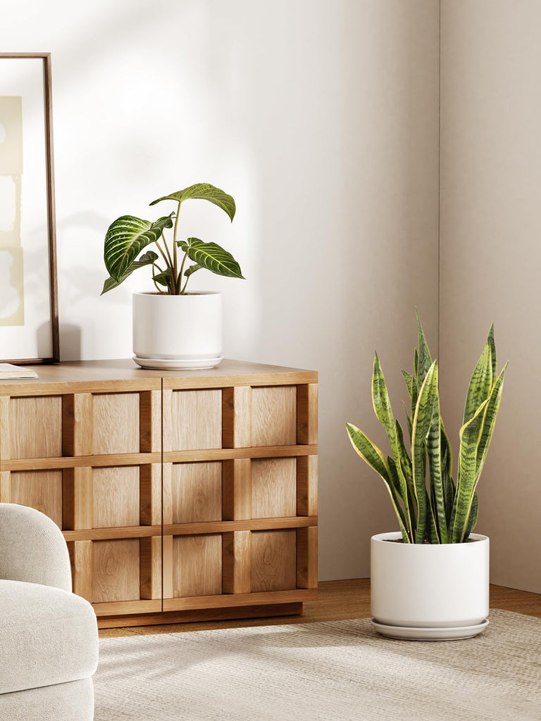 10 + 12 Inch Ceramic Plant Pots, Set of 2, White