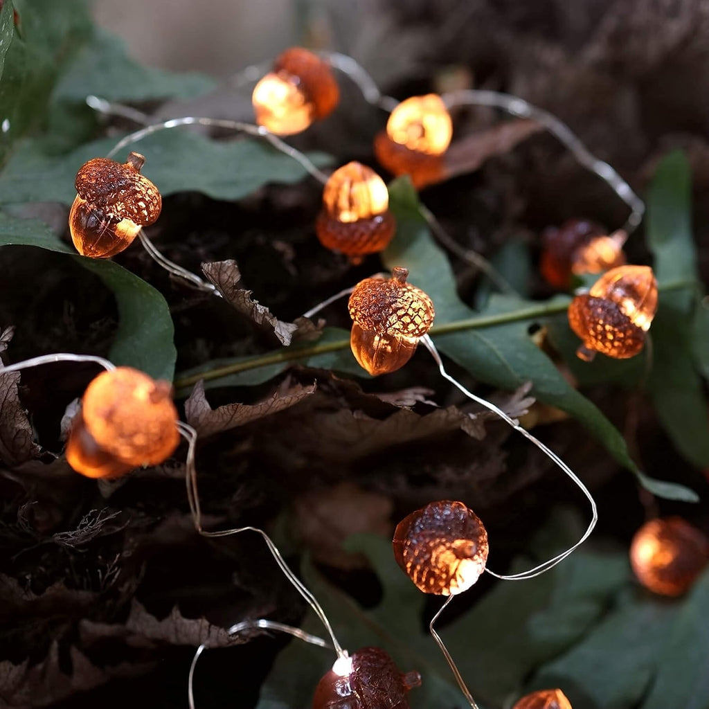 Decorative Fairy Acorn String Lights Thanksgiving Decoration Autumn Garland Cute Novelty Lights 30 LEDs 10 ft Battery