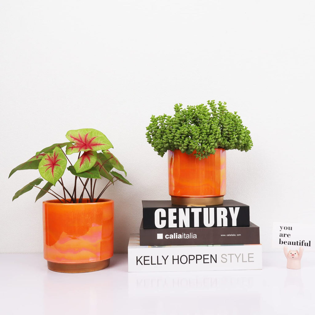 Ceramic Plant Pots for Indoor Plants, Planters with Drainage Holes