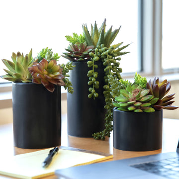 Plants Artificial in Ceramic Pots - Faux Office Plants