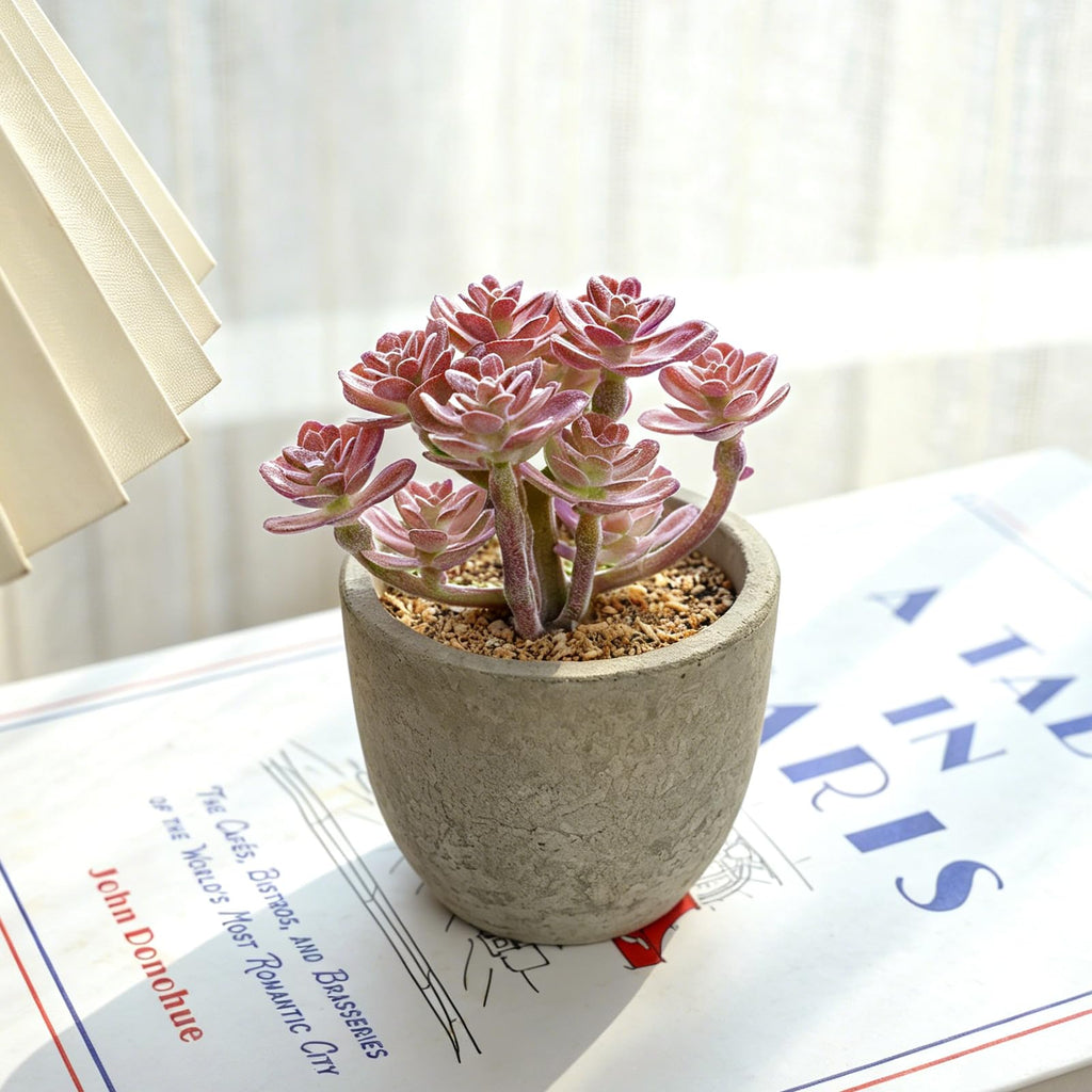 Large Fake Plants, Artificial Plants, Indoor Eucalyptus Plant
