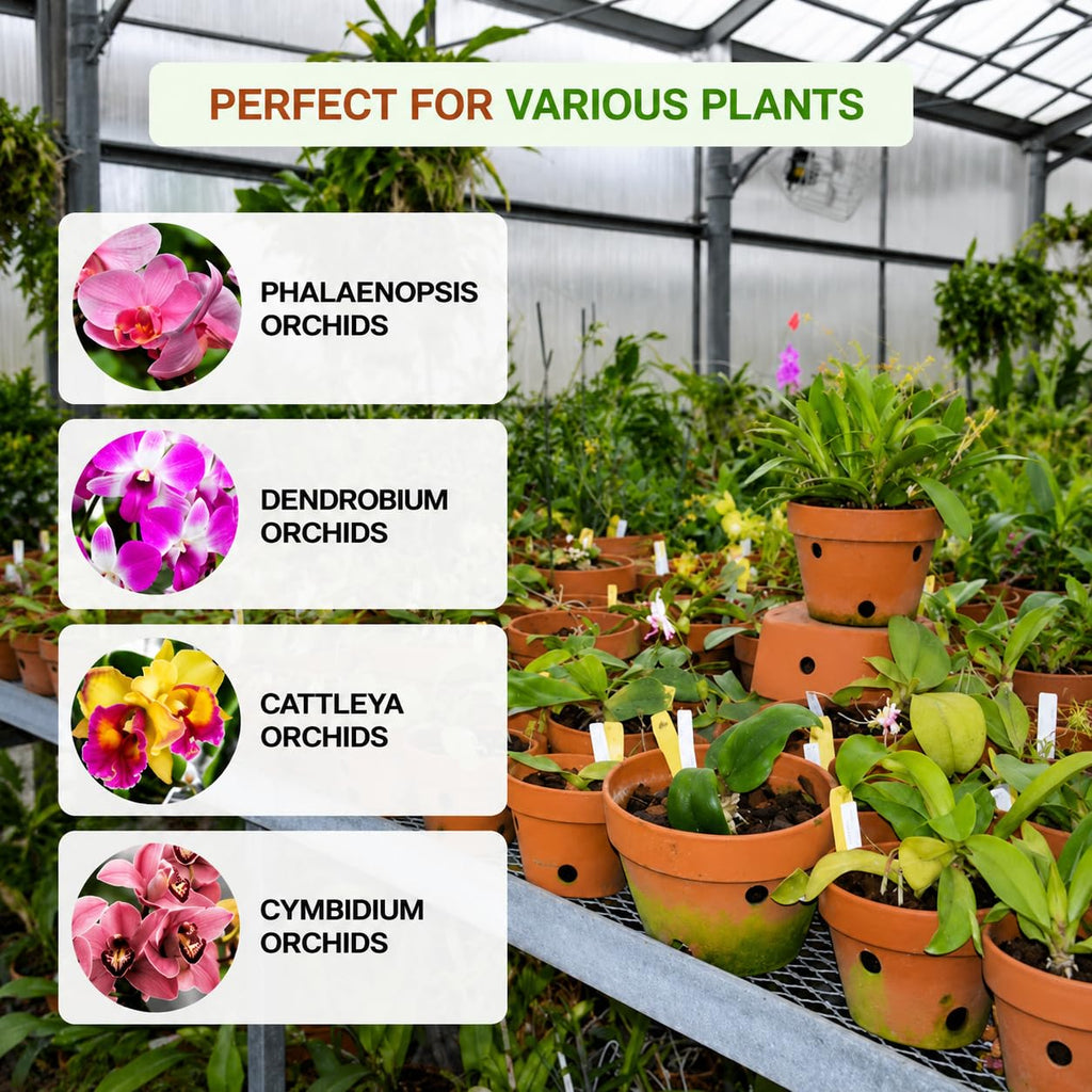 Handmade Terracotta Orchid Pot|Pack of 1|Height - 5 Inch