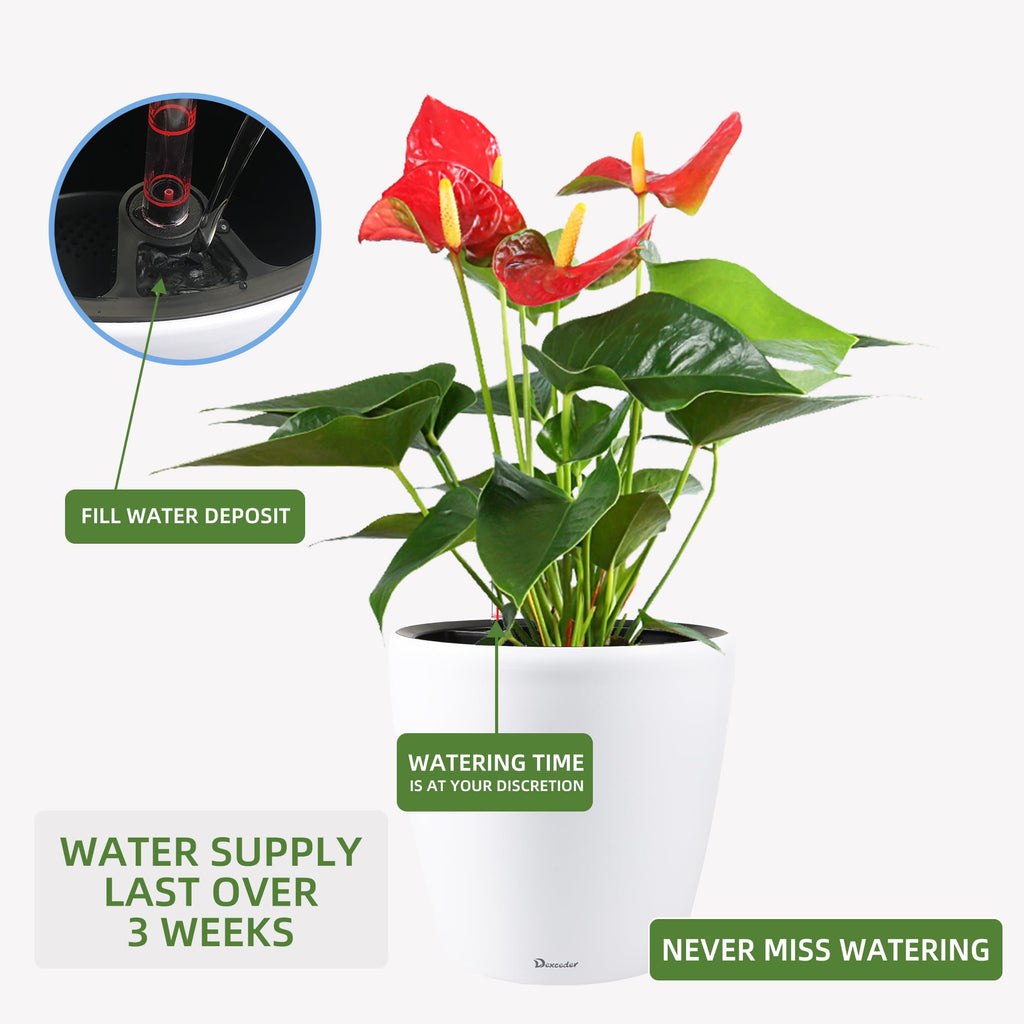 15x14 Self Watering Planter with Wheels (White Matte)