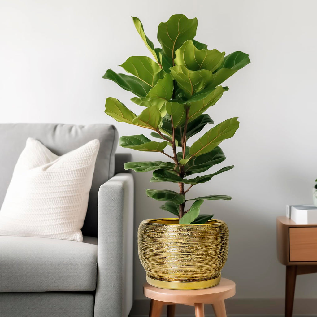 Ceramic Planter for Indoor Plants - 10 Inch Plant Pot with Drainage Hole and Saucer, Modern Round Planter Outdoor