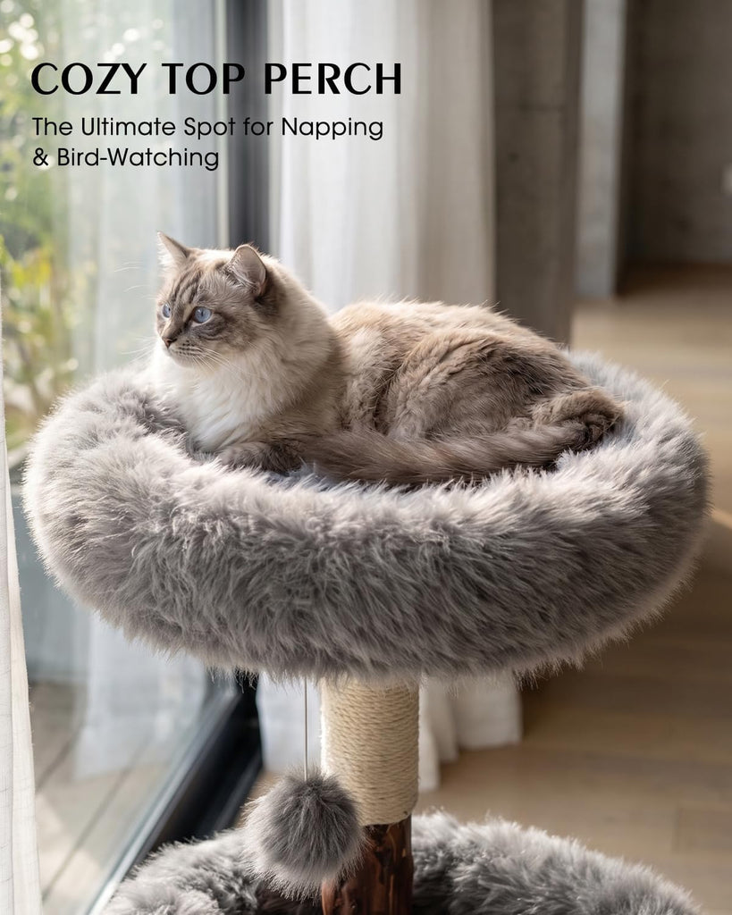 Solid Wood Cat Tree, Boho Modern Cat Tree Tower with Real Branch