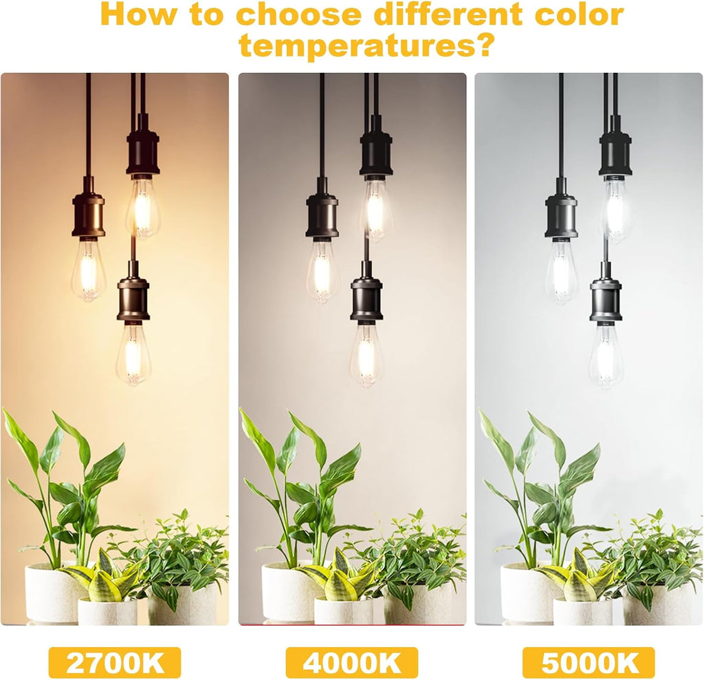Vintage LED Edison Bulbs 6W Equivalent 60W, Dimmable, Daylight 5000K, 850 Lumens ST58 Antique LED Filament Bulbs