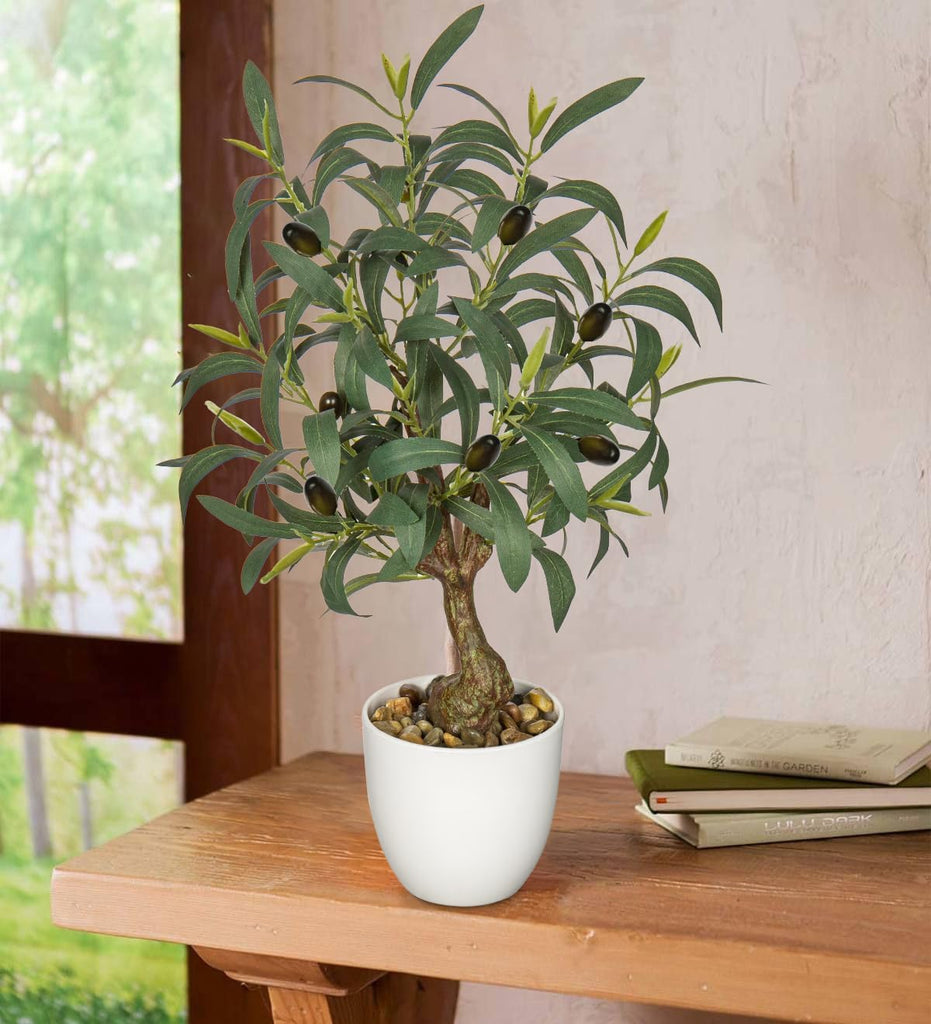 17.7 Inch Artificial Olive Tree in White Pot for Tabletop Decor