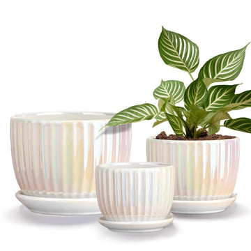 Plant Pots, Ceramic Flower Pots with Drainage Holes & Saucer Set of 3(Pearl)