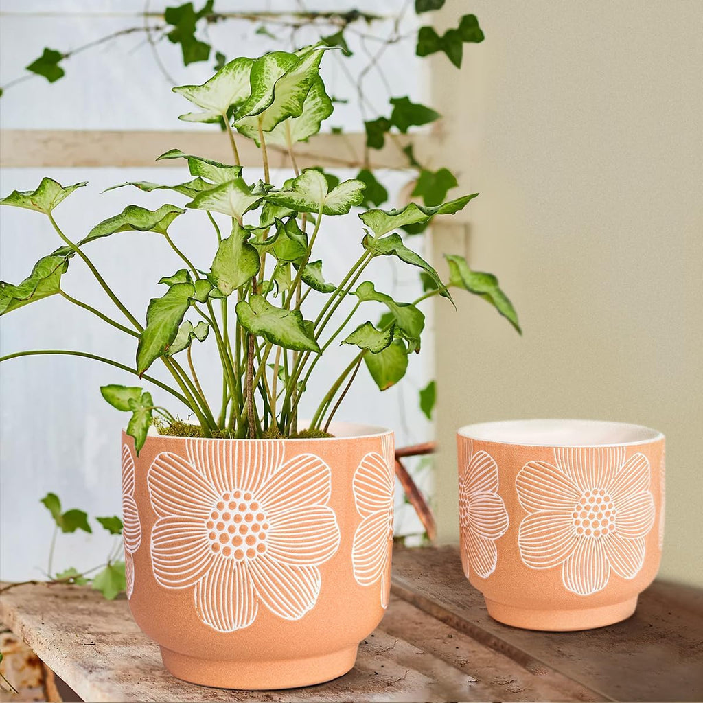 Ceramic Plant Pots, 8+6 Inch, 2 Pcs Indoor Planters with Drainage Holes