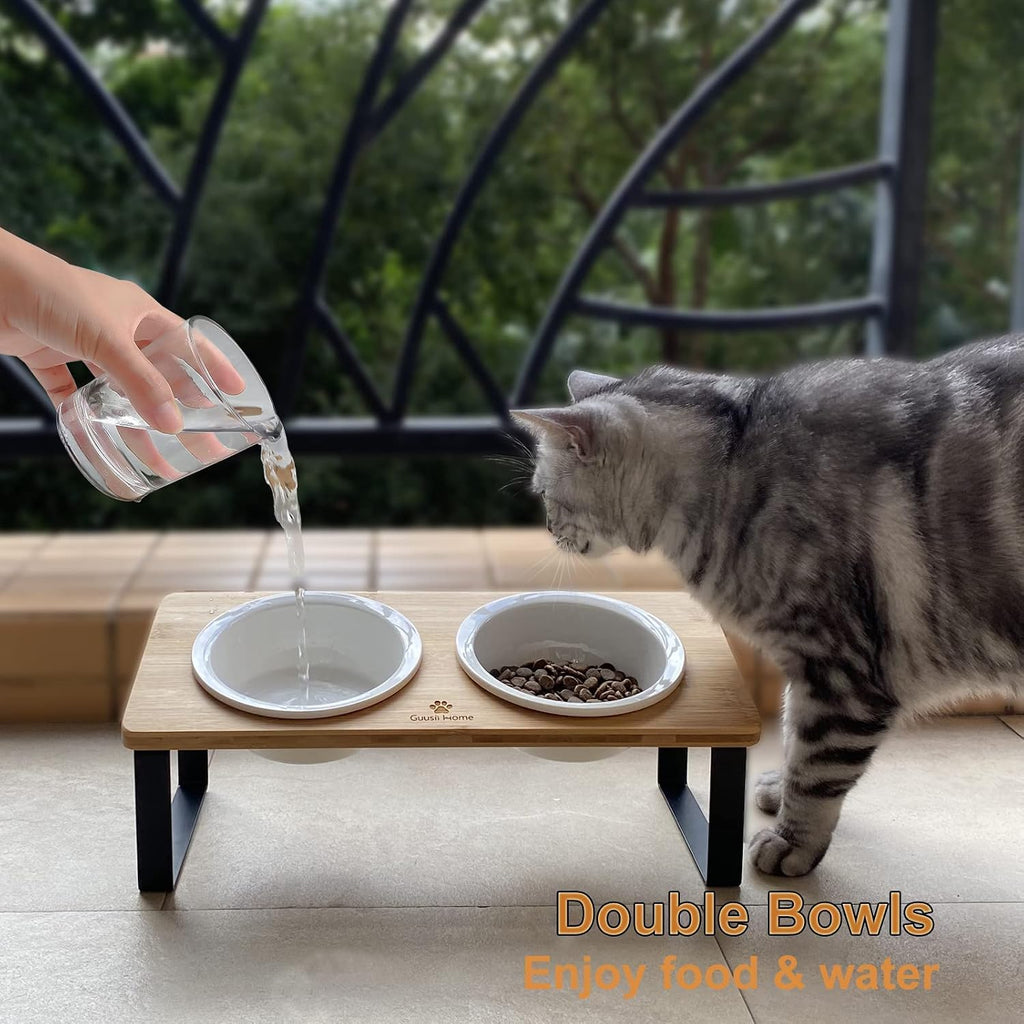 Ceramic Elevated Cat Bowls Raised Puppy Dishes for Food and Water Tilted Wooden Stand for Indoor Cats 5.5 inch Wide