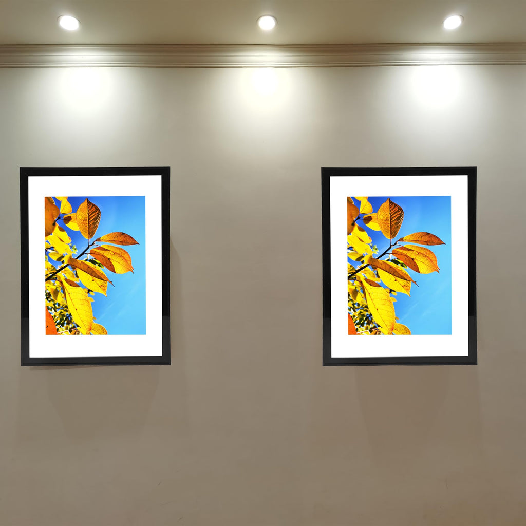 16x20 Picture Frame Black, Collage Wall Decor Studio Gallery Poster Frame