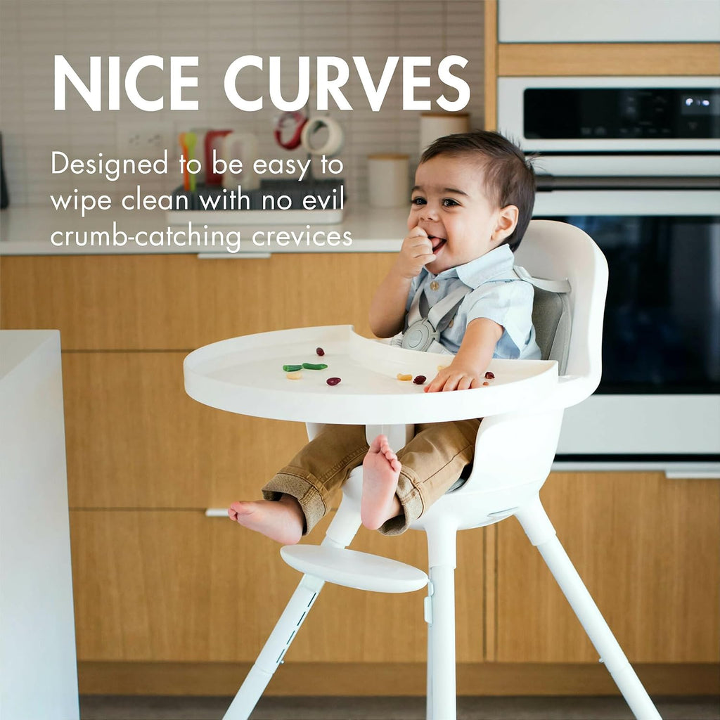 Adjustable Baby High Chair - Convertible High Chair and Toddler Chair - High Chairs for Babies and Toddlers 6 Months
