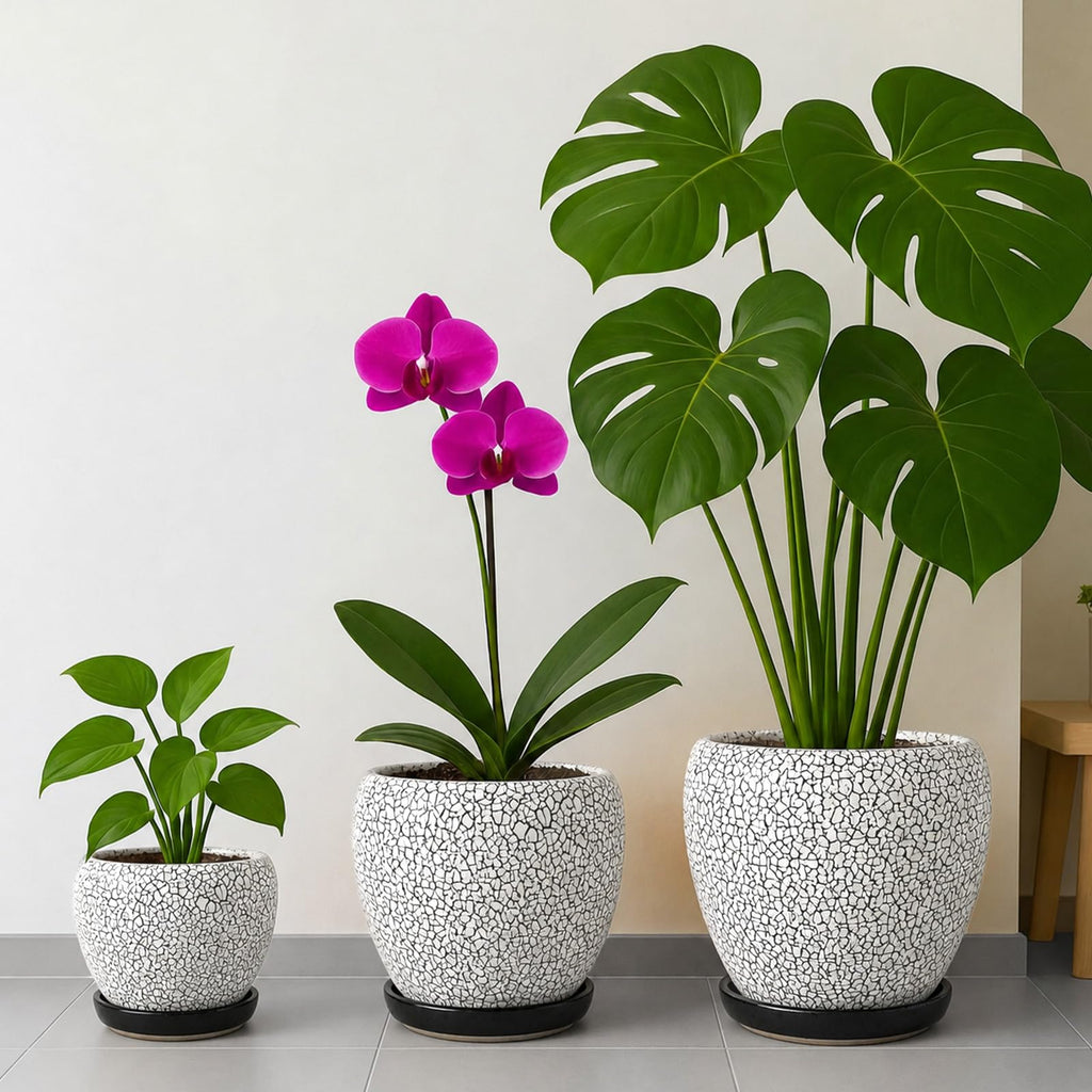 8 Inch Plant Pots- Ceramic Pots for Plants with Drainage Hole and Saucer, Large Planter Pot for Indoor Plants Outdoor