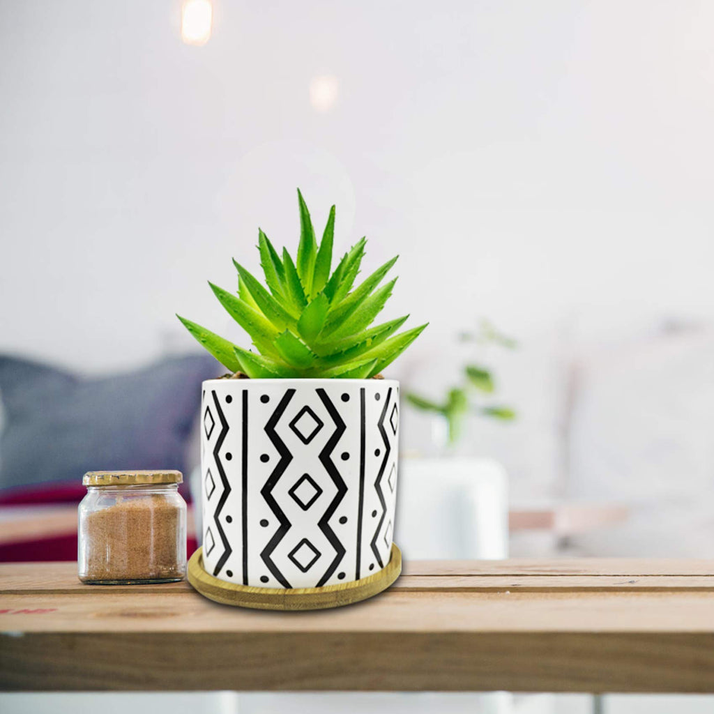 Succulent Planters with Drainage, Geometric Patterned, Minimalist Design 3.5 Inch Small Succulent Pots, Ceramic Flower