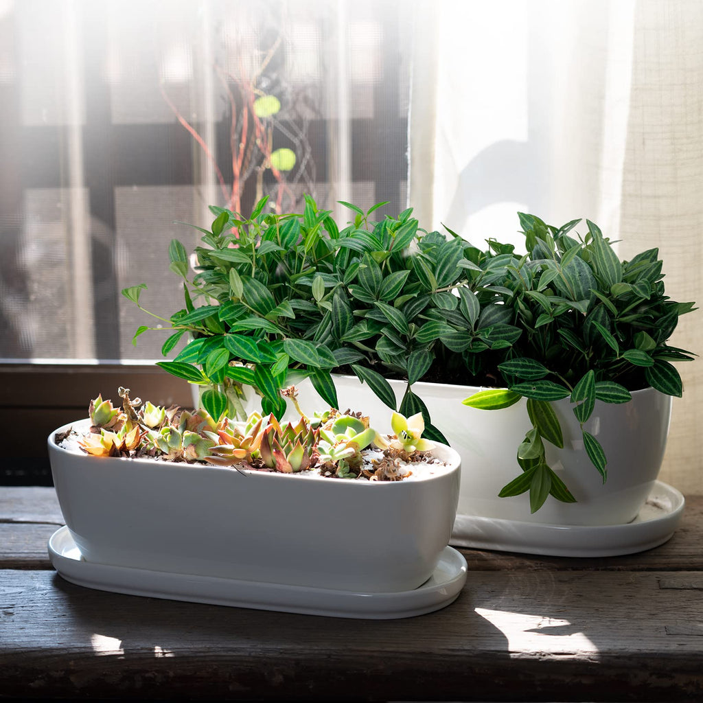 14 Inch Oval Ceramic Planter Pot with Drainage Hole Saucers