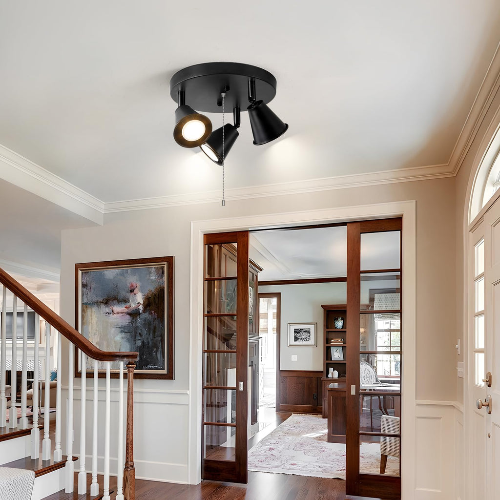 Industrial Directional Track Lighting with Pull Chain On/Off, Black Ceiling Spotlight, Morden Flush Mount