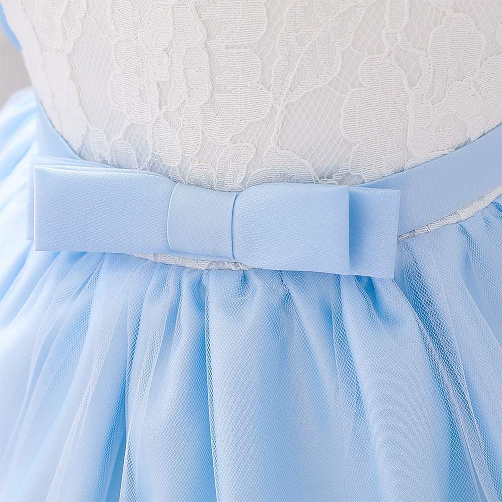 Baby Girl Lace Tutu Dress Infant Toddler Wedding Flower Girl Dress First Birthday Formal Pageant Christening Dresses