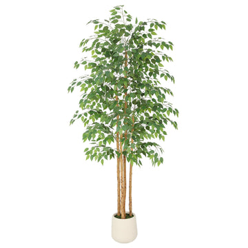 7ft Ficus Tree Artificial with Multi-Real Wood Trunks & White Planter, 84in Realistic Texture Potted Faux Ficus Tree