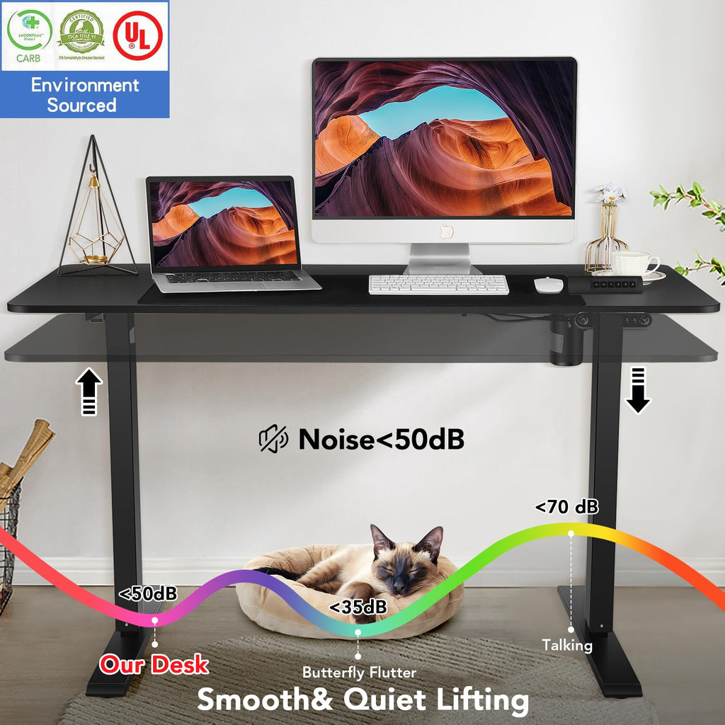 63x24 Inch Electric Standing Desk with Mouse Pad, Black