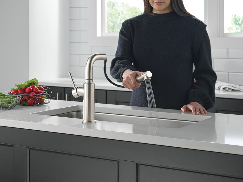 Daneri Brushed Nickel Kitchen Faucet with Pull-Out Sprayer, Modern Single Hole Faucet, Single Handle, Stainless