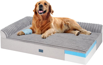 Orthopedic Dog Bed for Senior Dog, 7" XL Memory Foam Bed with Sides
