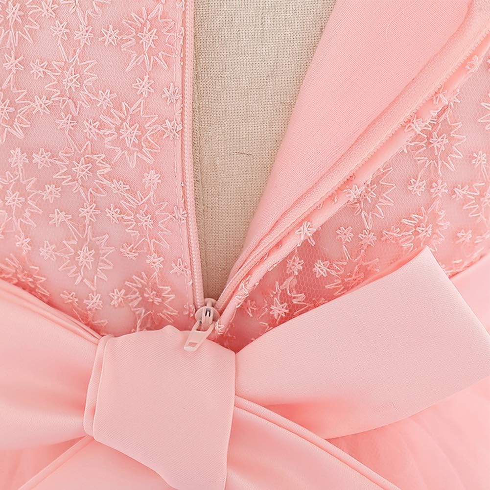 Baby Girl Baptism Dress Infant Christening Tulle Gown Wedding Flower Girl Embroidery Special Occasion Tutu Dress