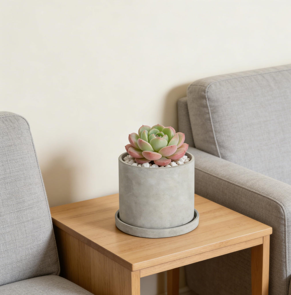 7 Inch Plant Pot Indoor, Grey Cement Garden Planters with Drain Hole & Saucer Tray, Modern Succulents Containers