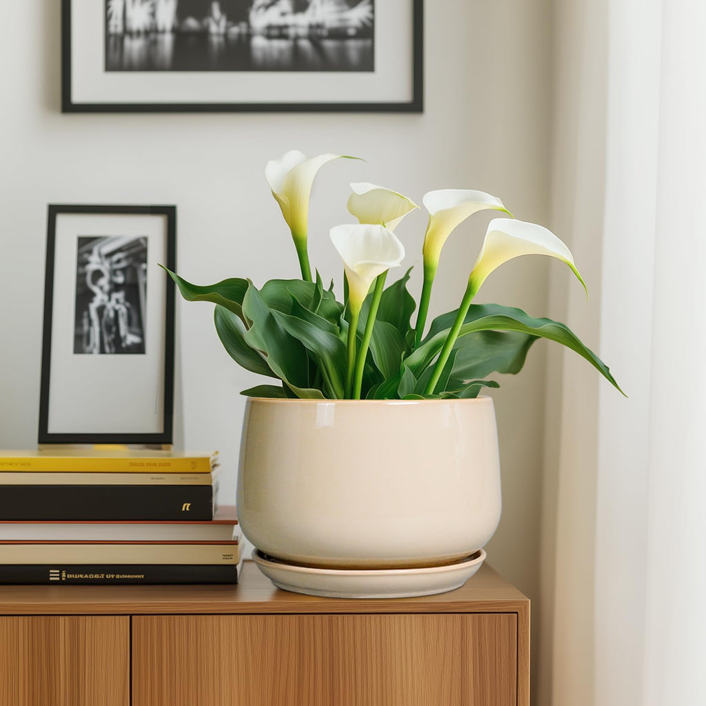 Ceramic Plant Pots - 9 Inch Round Planter, Ceramic Flower Pots with Drainage and Saucer, Modern Indoor Outdoor