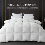 Feather Down Fiber White Comforter, All Season Luxury Bed Comforter,Ultra Soft 100% Cotton Duvet Ins