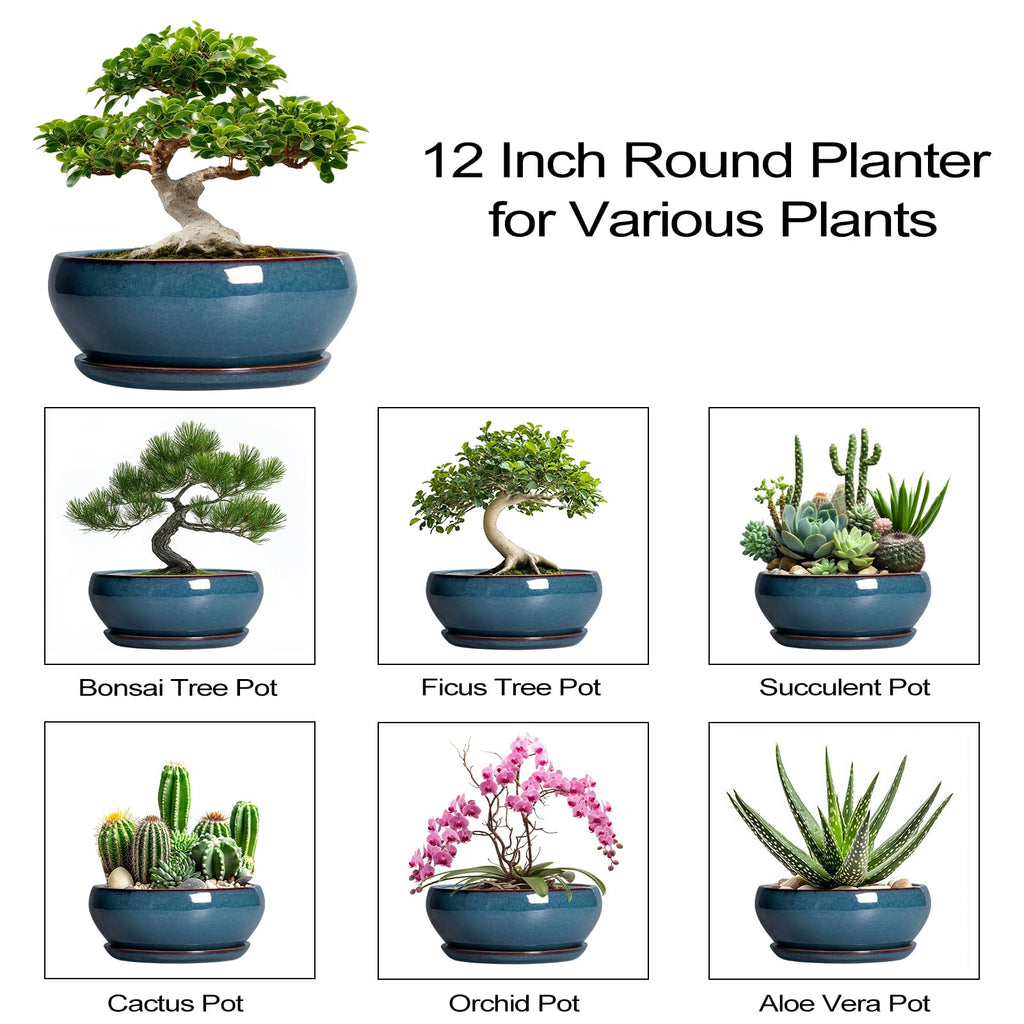 Bonsai Tree Pots - 12 Inch Ceramic Succulent Pots, Large Shallow Planter with Drainage Hole and Saucer, Bowl Round