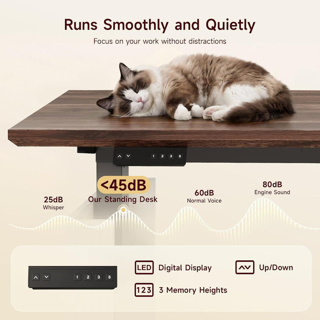 55 Inches Electric Standing Desk with File Cabinet, Computer Desk | Height Adjustable Desk with 3 Drawers, Farmhouse