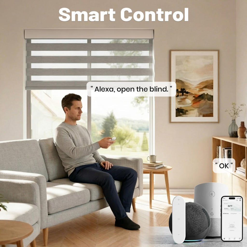 Motorized Zebra Blinds with Remote, Cordless Smart Shades, Grey