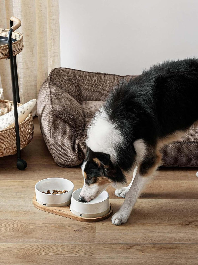 Ceramic Dog Bowl Set with Acacia Wood Tray, 3.2 Cup Food Bowl + 29 oz Water Bowl, Weighted Non-Slip Feeding Station
