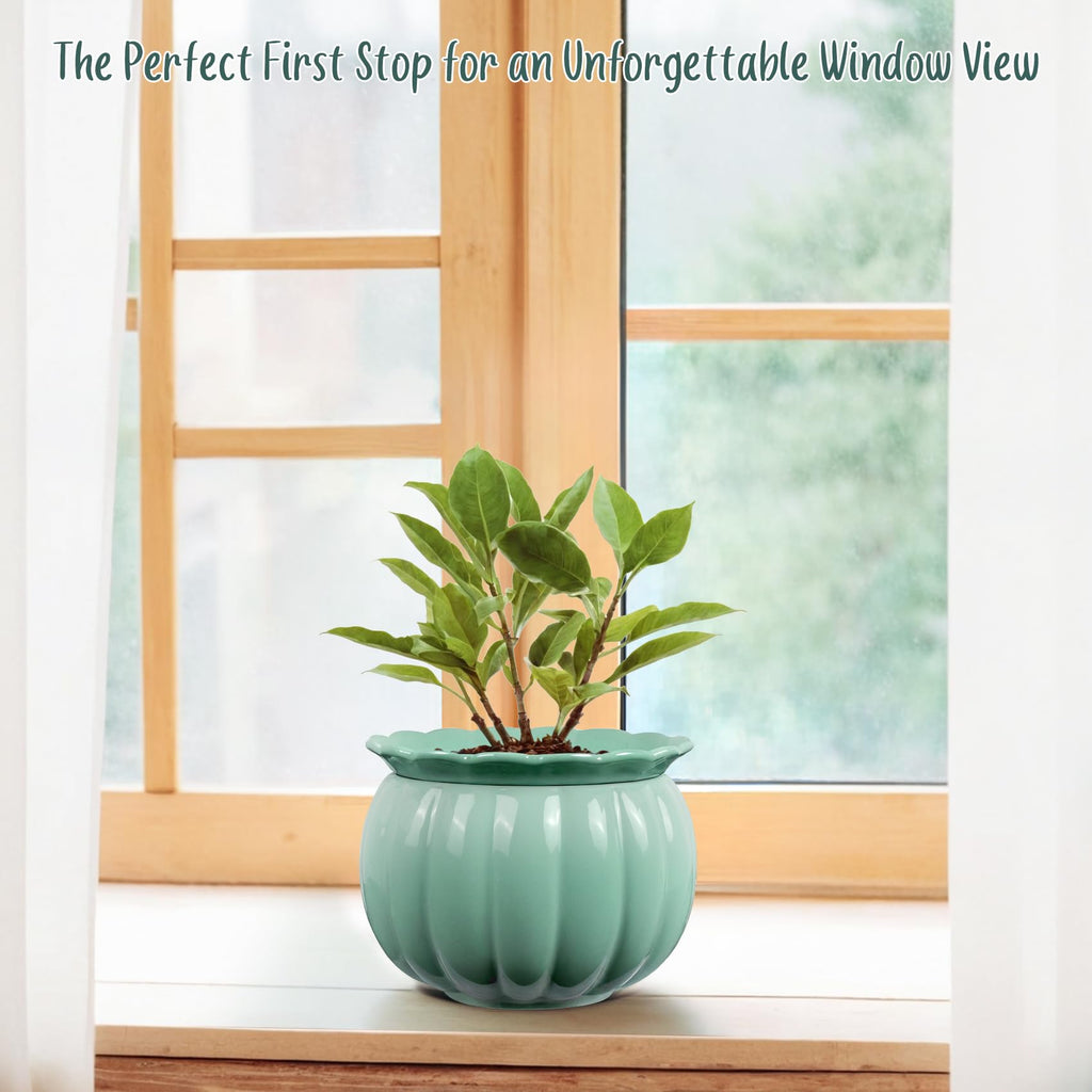Self Watering African Violet Pot 6in Ceramic Planter-Blue