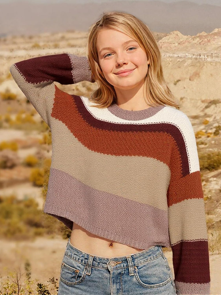 Chunky Knit Striped Winter Fall Sweaters Casual Long Sleeve Crew Neck Pullover Color Blocks Sweater Tops