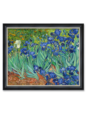 Vincent Van Gogh Wall Art Framed, Irises in the Garden, 34x28''