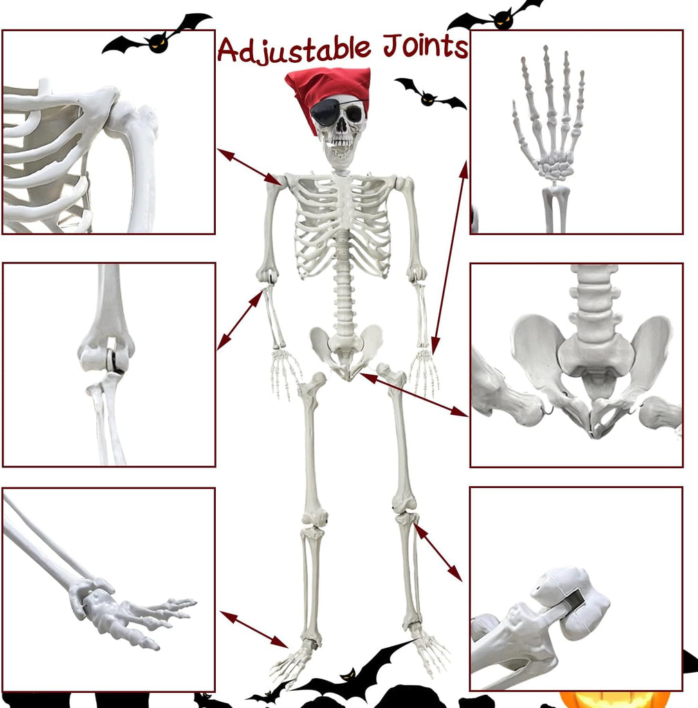5.4Ft Halloween Skeleton Life Size Skeleton with Posable Joints