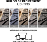 Rugshop Wavy Circles Design Area Rug, Fade-Resistant Carpet for Living Room, Dining Room, or Bedroom, Gray, 5'3" x 7'3"