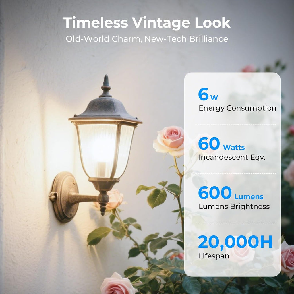 Dimmable Edison Bulbs, 4000K Daylight White, 6W Equivalent to 60 watt E26 LED Bulb, ST58 Vintage Light Bulbs, 600LM