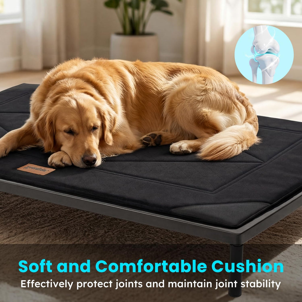 Chew Proof Elevated Dog Bed for Medium Dogs, 36" x 24" x 5", Black