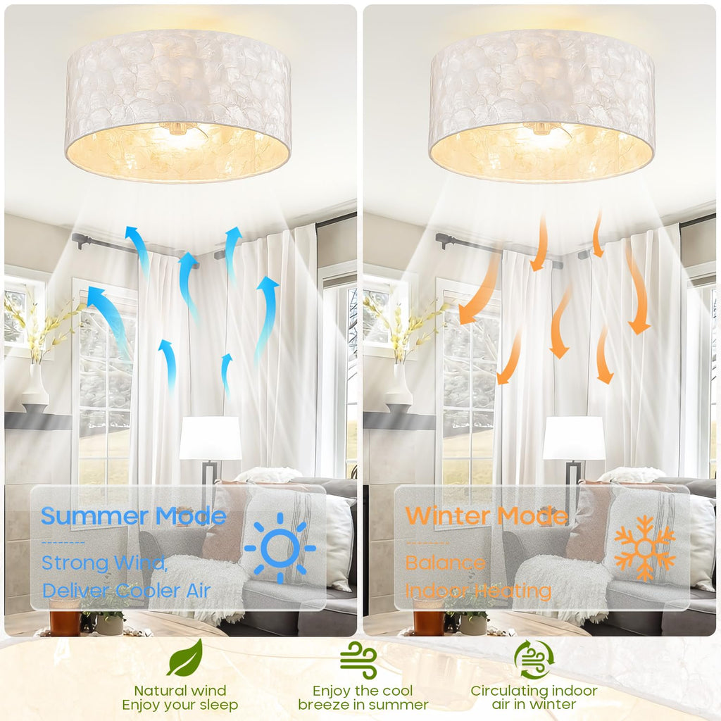 Boho Coastal Ceiling Fan with Light and Remote, Shell Shade